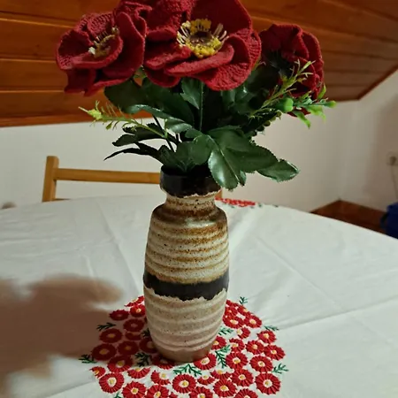 Pasztor Vendeghaz Apartment Poroszló